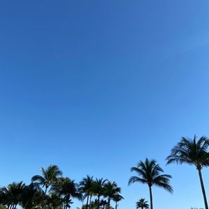 Meet your Posher, Jana